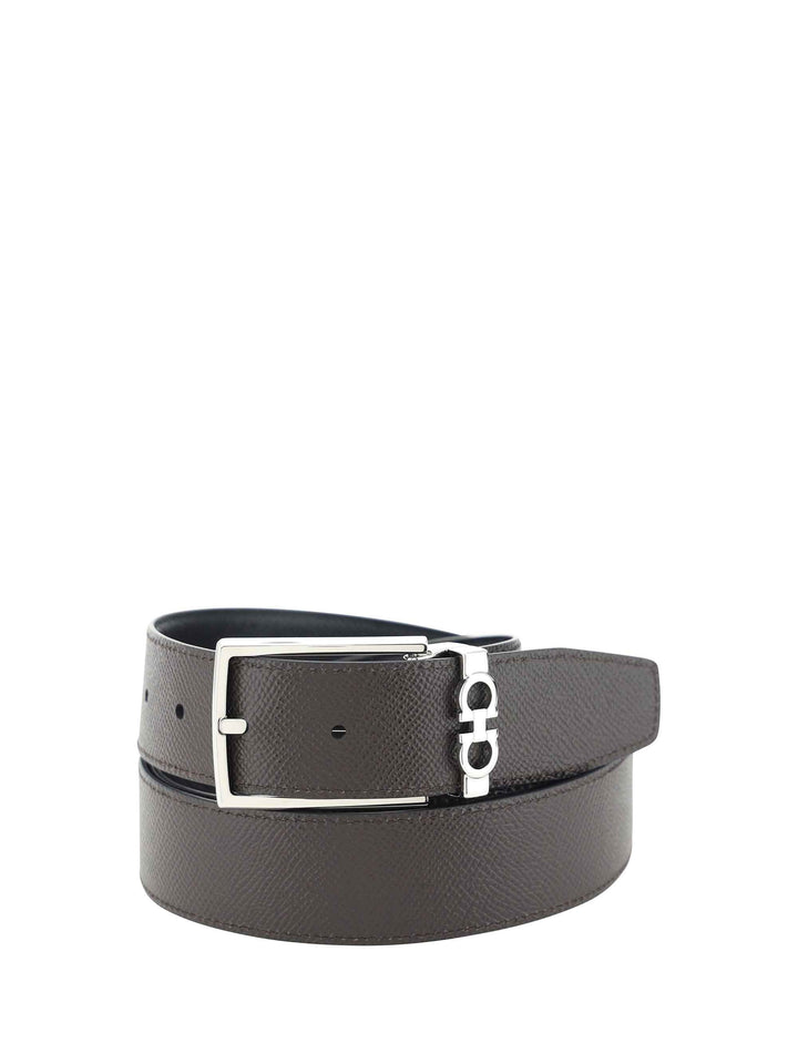 Reversible Belt