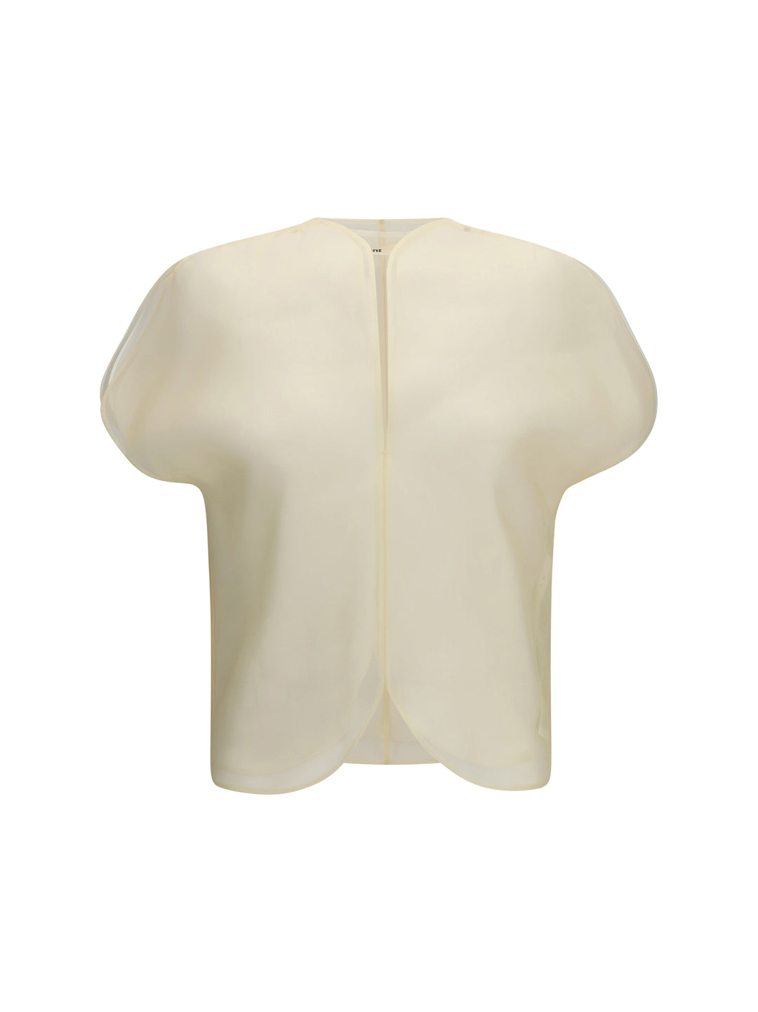 Briar silk organza Top 1