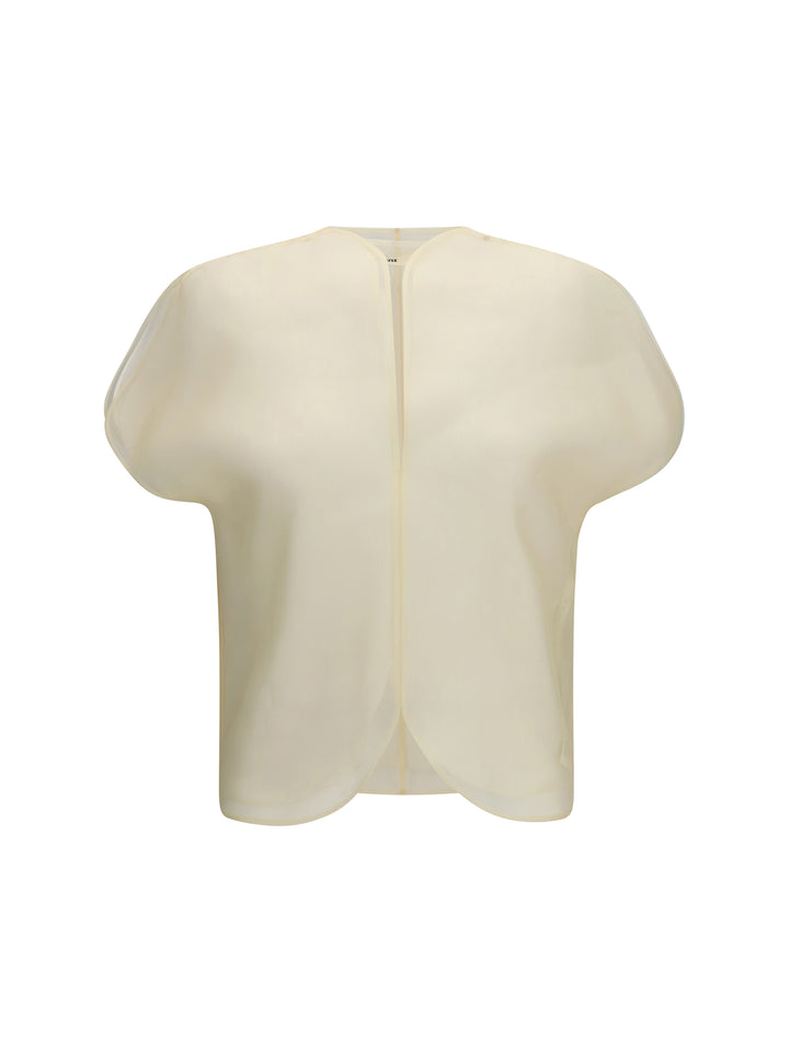 Briar silk organza Top 1