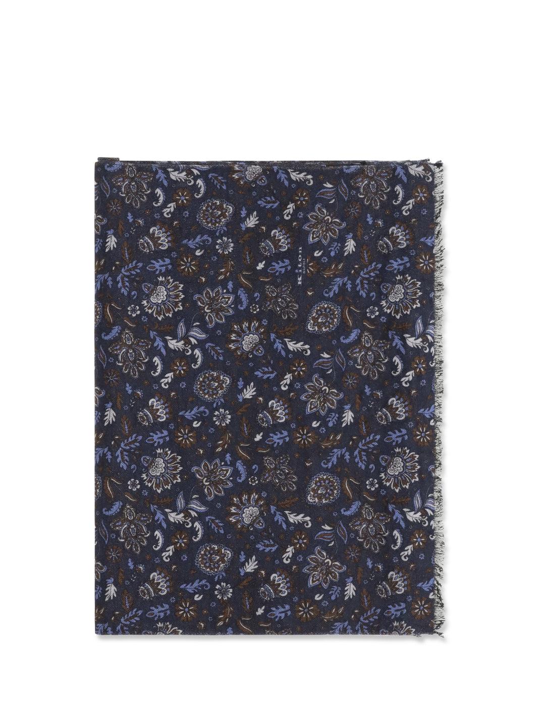 Paisley patterned Scarf 1