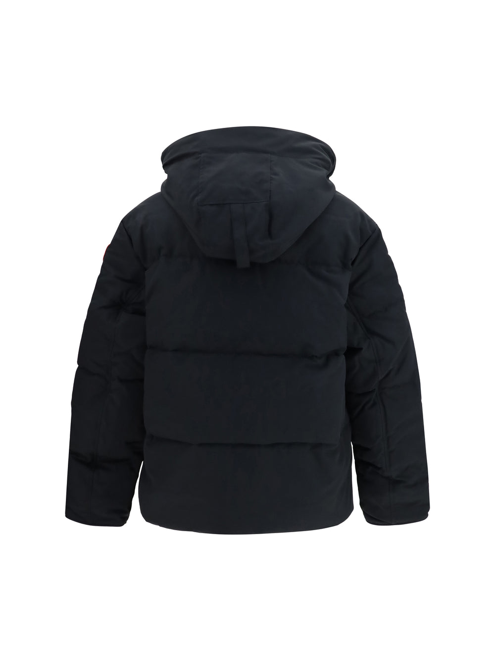 Seymour padded Parka 2