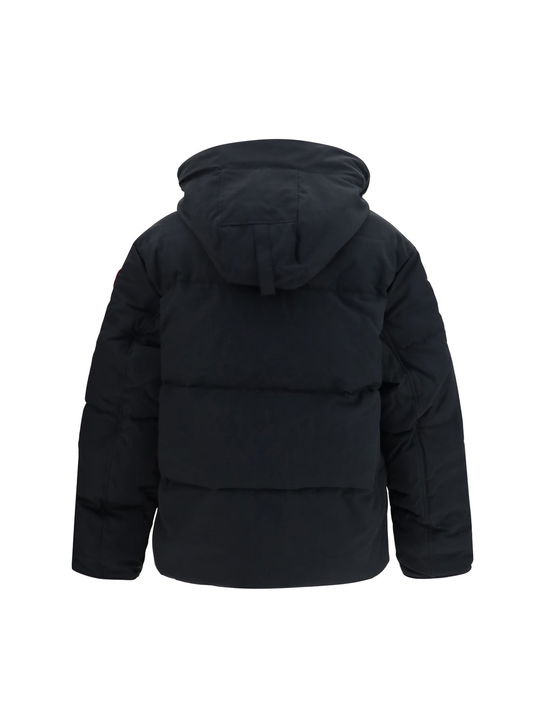 Seymour padded Parka 2