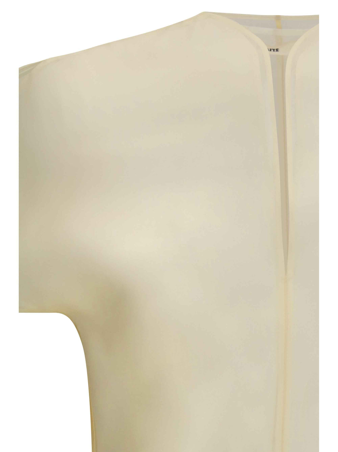 Briar silk organza Top
