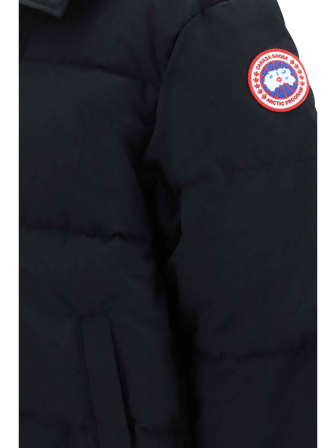 Seymour padded Parka