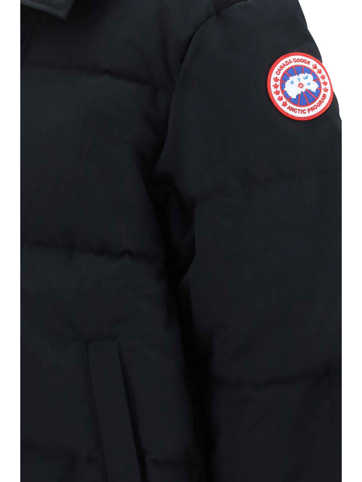 Seymour padded Parka