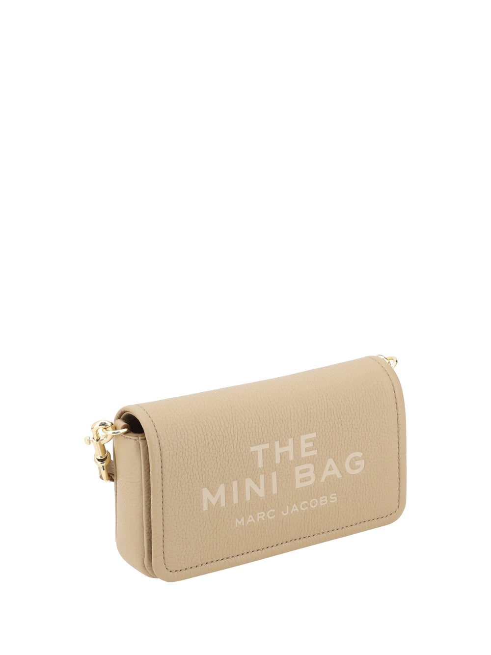 The Mini Bag Shoulder Bag 2