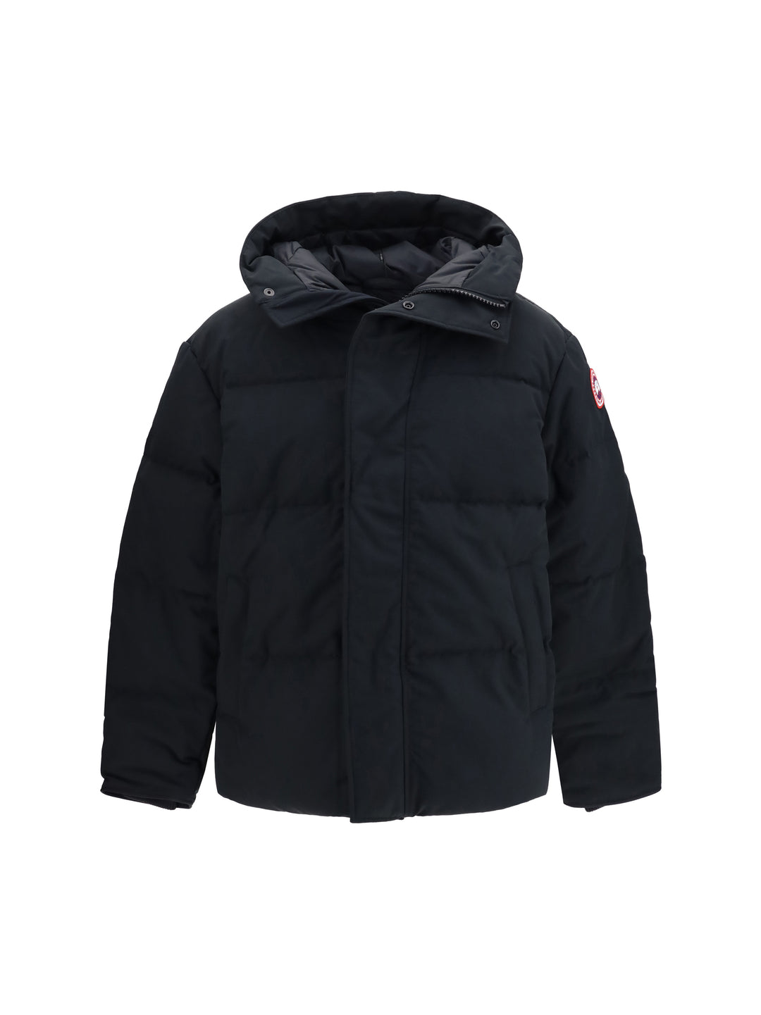 Seymour padded Parka 1