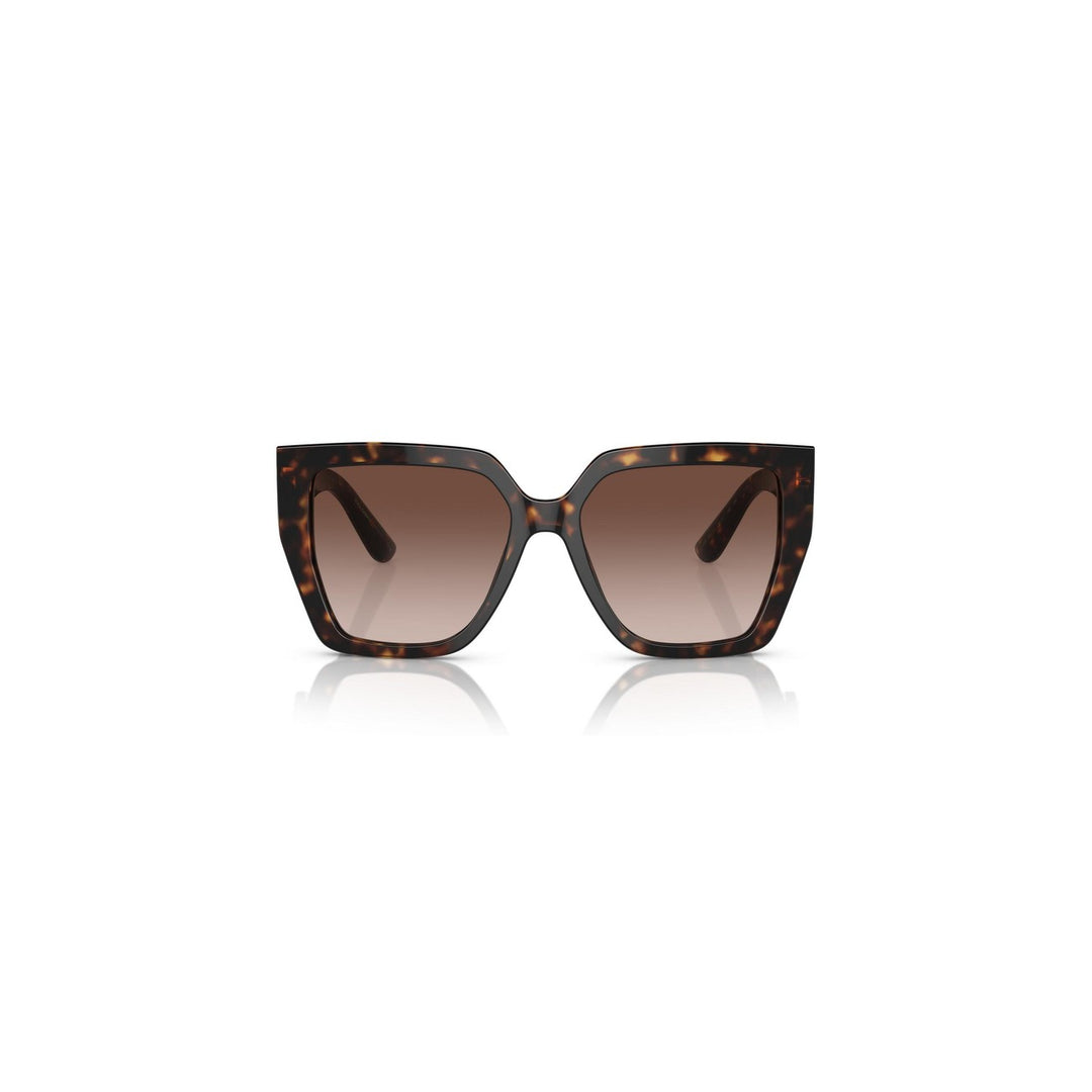 Dolce &amp; Gabbana Sunglasses in brown 8056597844536
