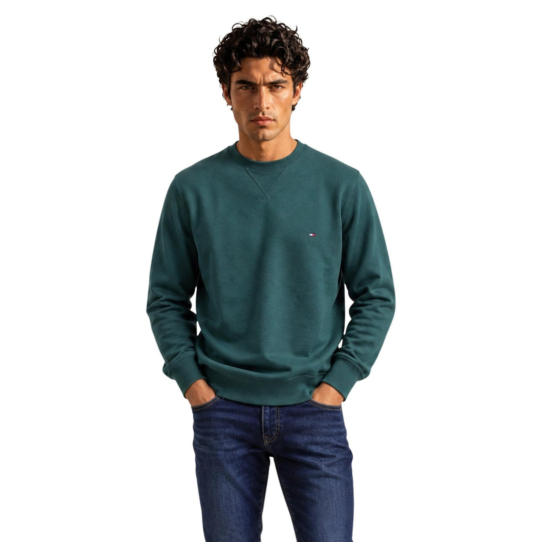 Tommy Hilfiger Sweatshirts in beige 8721441083811
